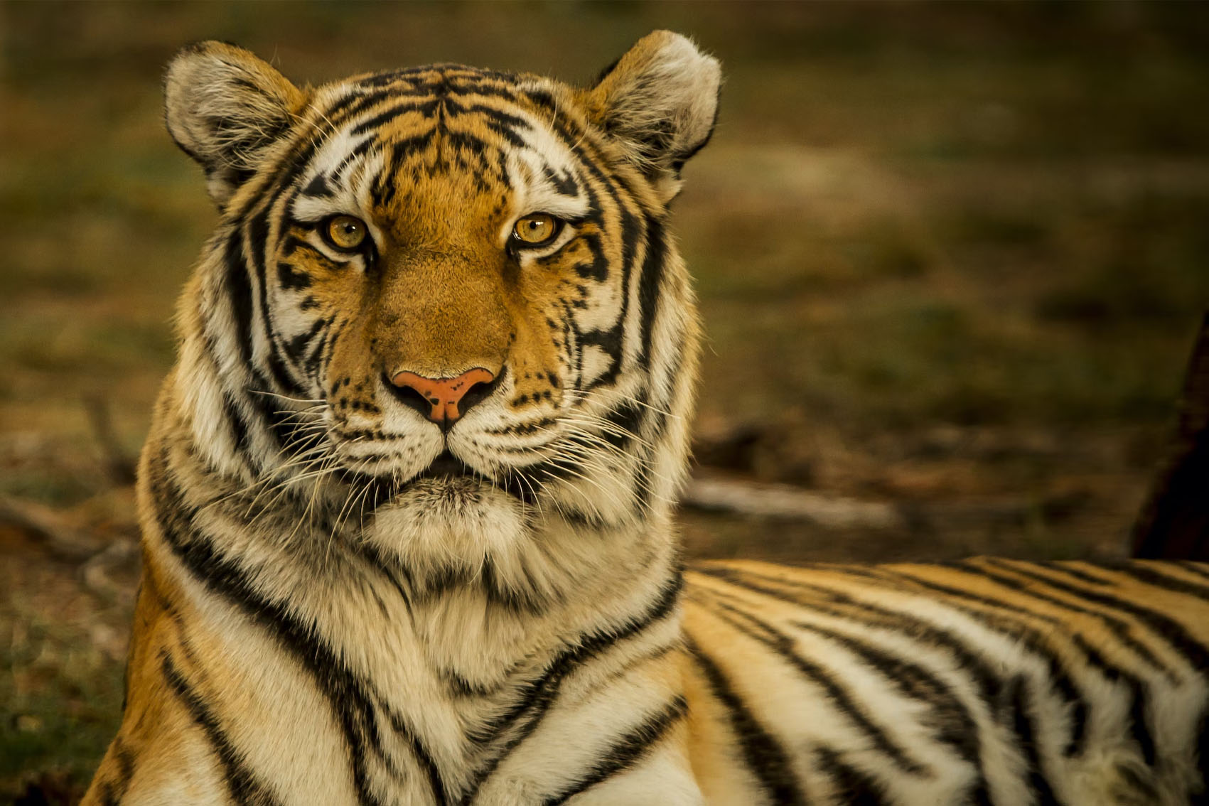 Chattishgrah - Kanger Ghati National Park