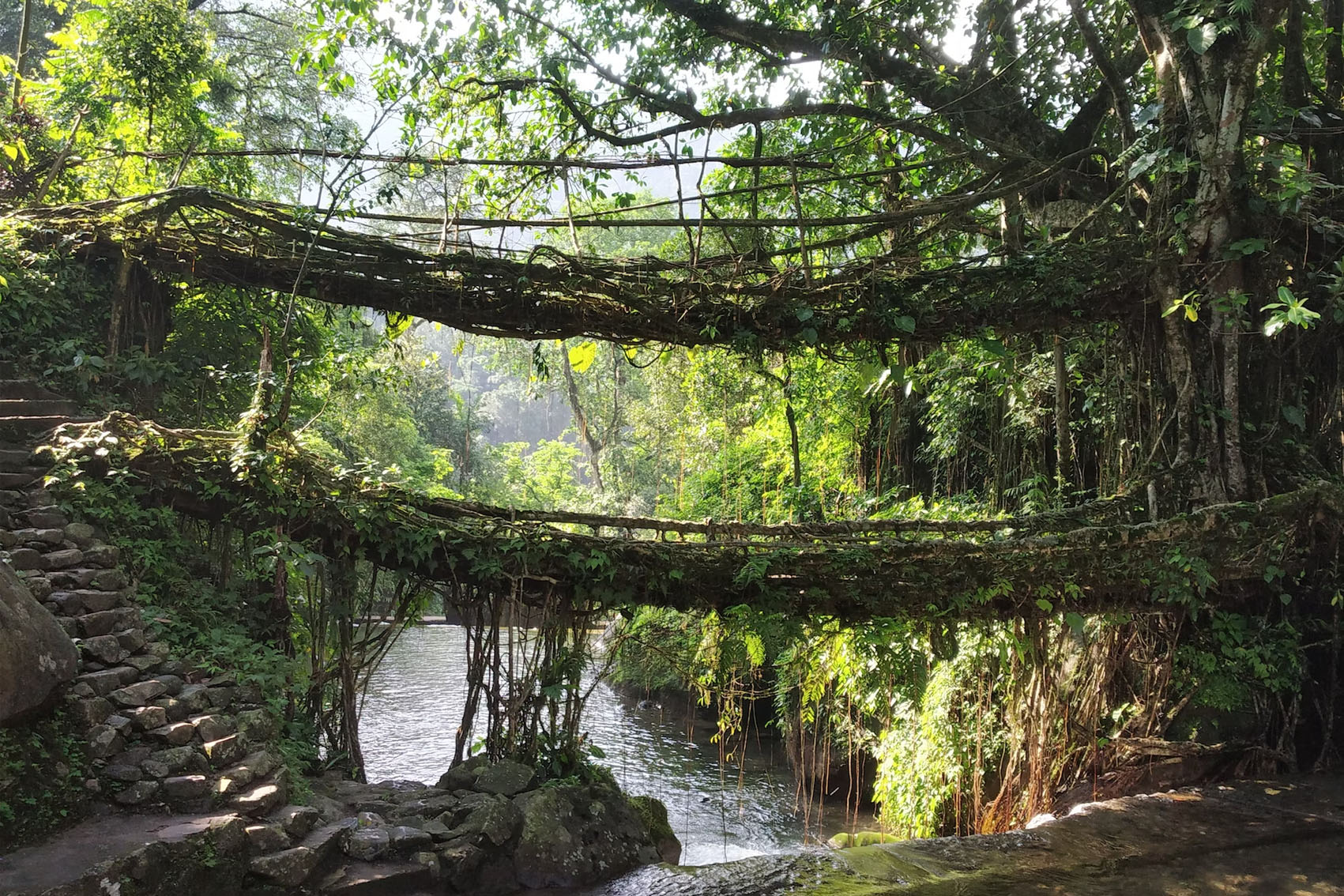 Meghalaya - Cherrapunji